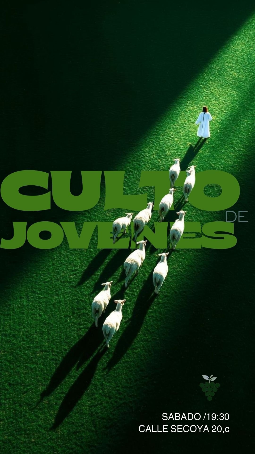 WhatsApp Image 2026-02-06 at 15.43.32 (3)