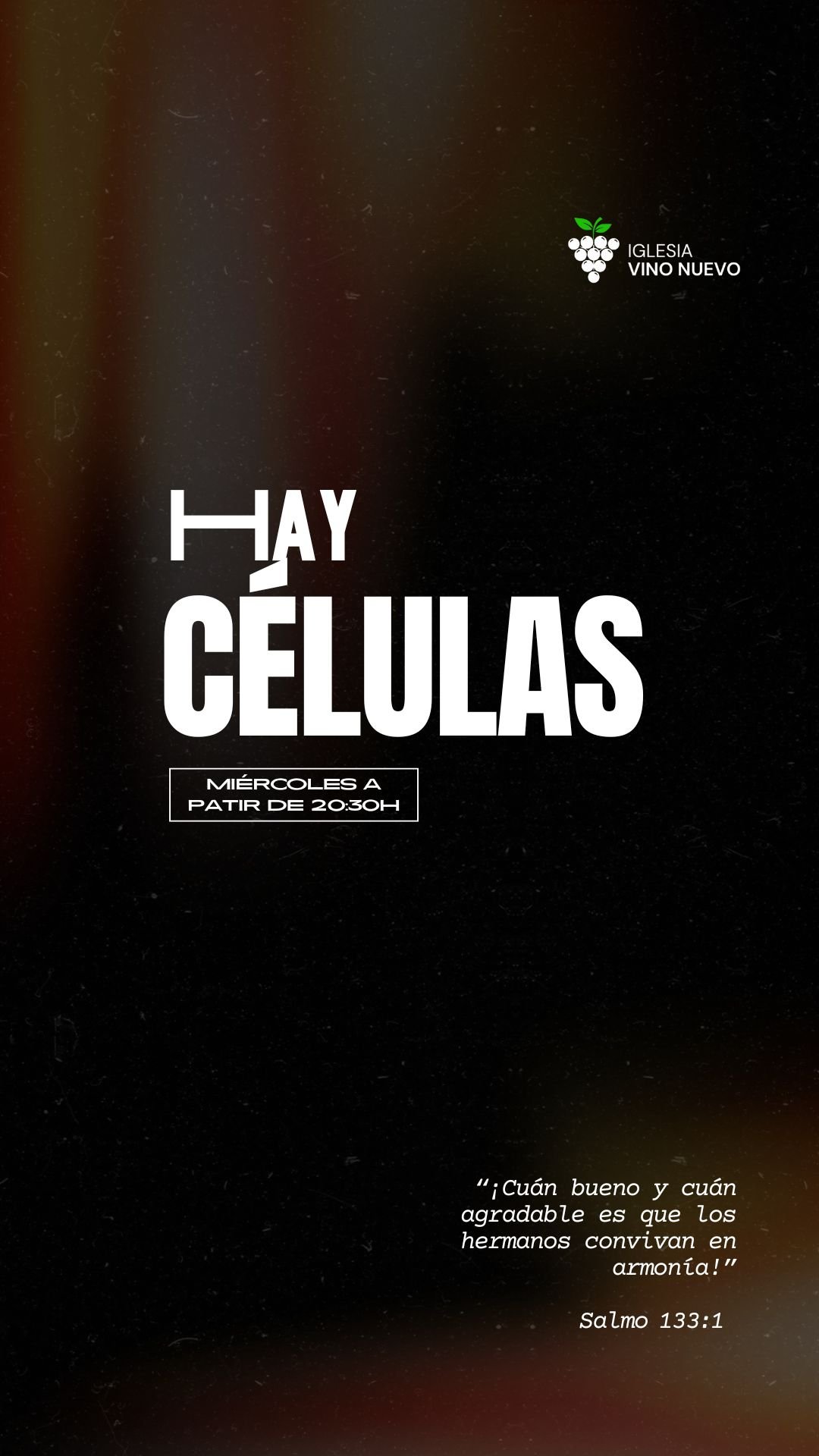 WhatsApp Image 2026-02-06 at 15.46.31